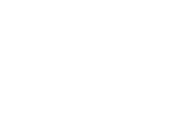 Intermediary logo